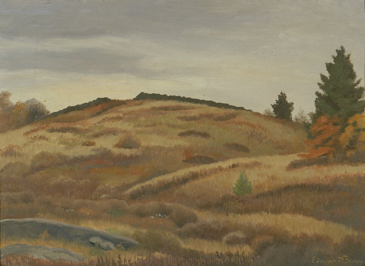Campos de otoño, ca. 1926-1934 de Edward Bruce