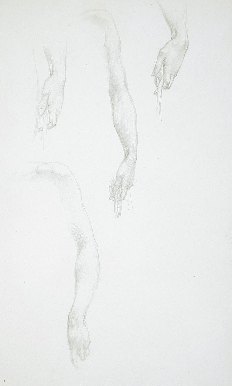 Estudios de brazos y manos (anverso); Estudio de un torso femenino (reverso) de Edward Burne-Jones