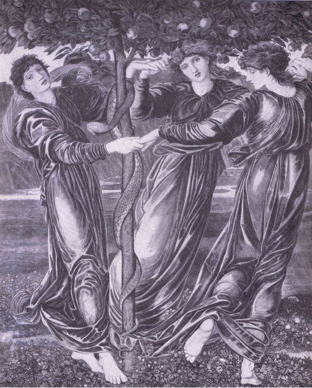 El jardín de las Hespérides, Anuario de Bibby de Edward Coley (after) Burne Jones