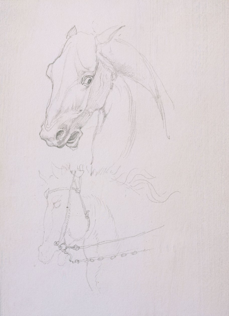 Estudio de la cabeza de un caballo de Edward Coley Burne Jones