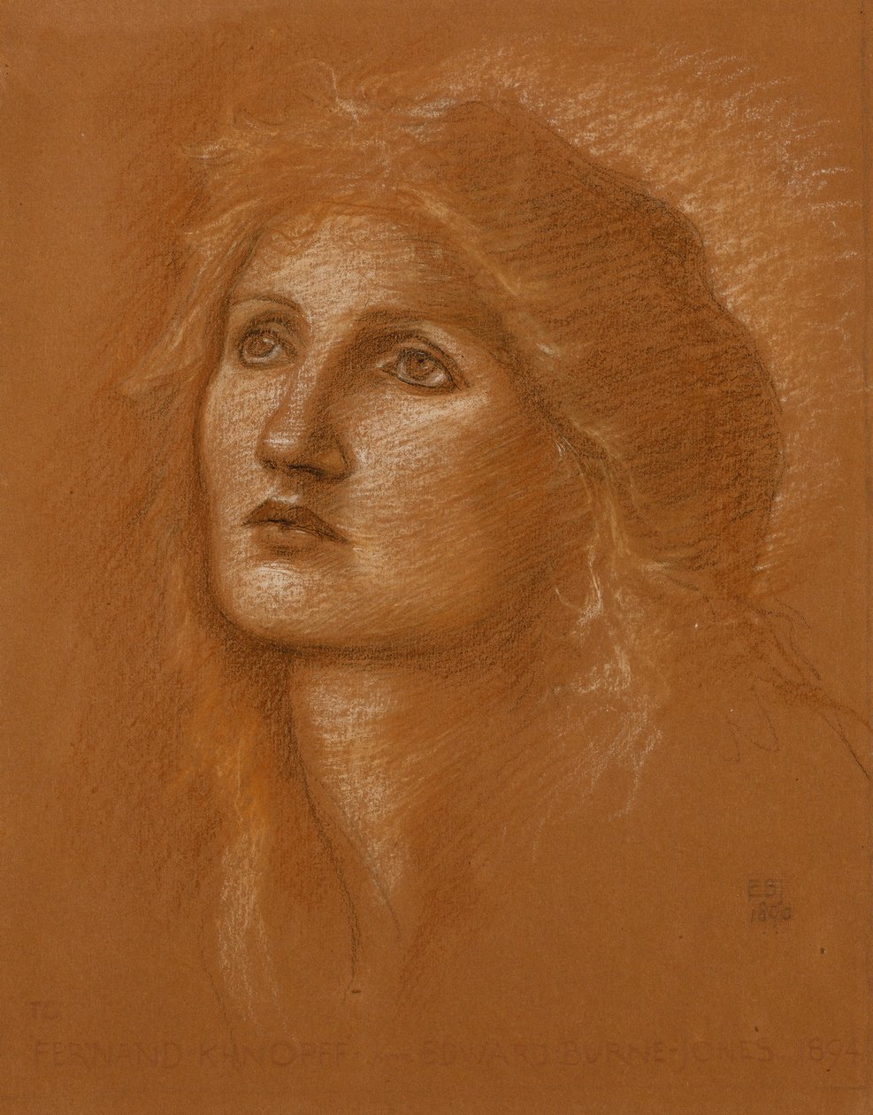 Cabeza de una mujer, 1890 de Edward Burne-Jones