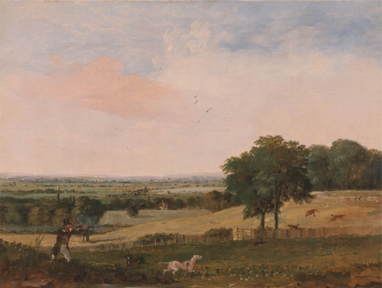 Tiro de perdiz de Edward Duncan