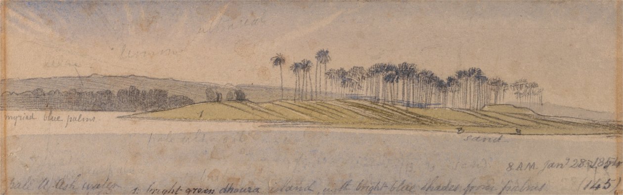Isla de Dhoura de Edward Lear