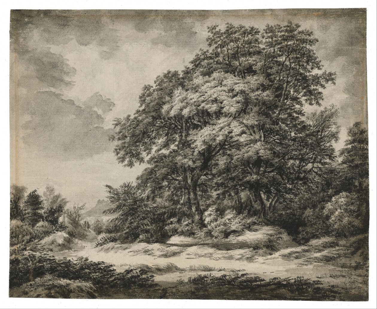 Paisaje forestal de Edward Lear
