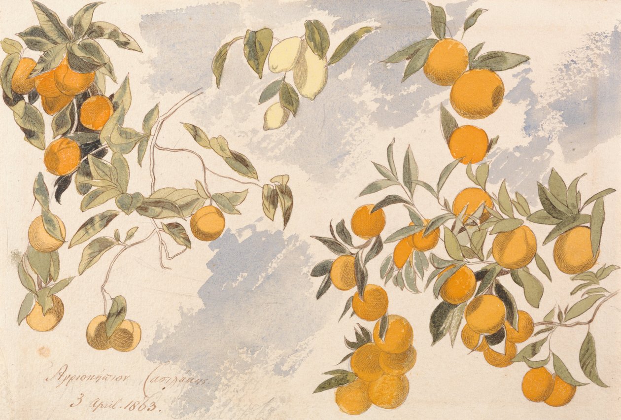 Árboles frutales, 3 de abril de 1863 de Edward Lear