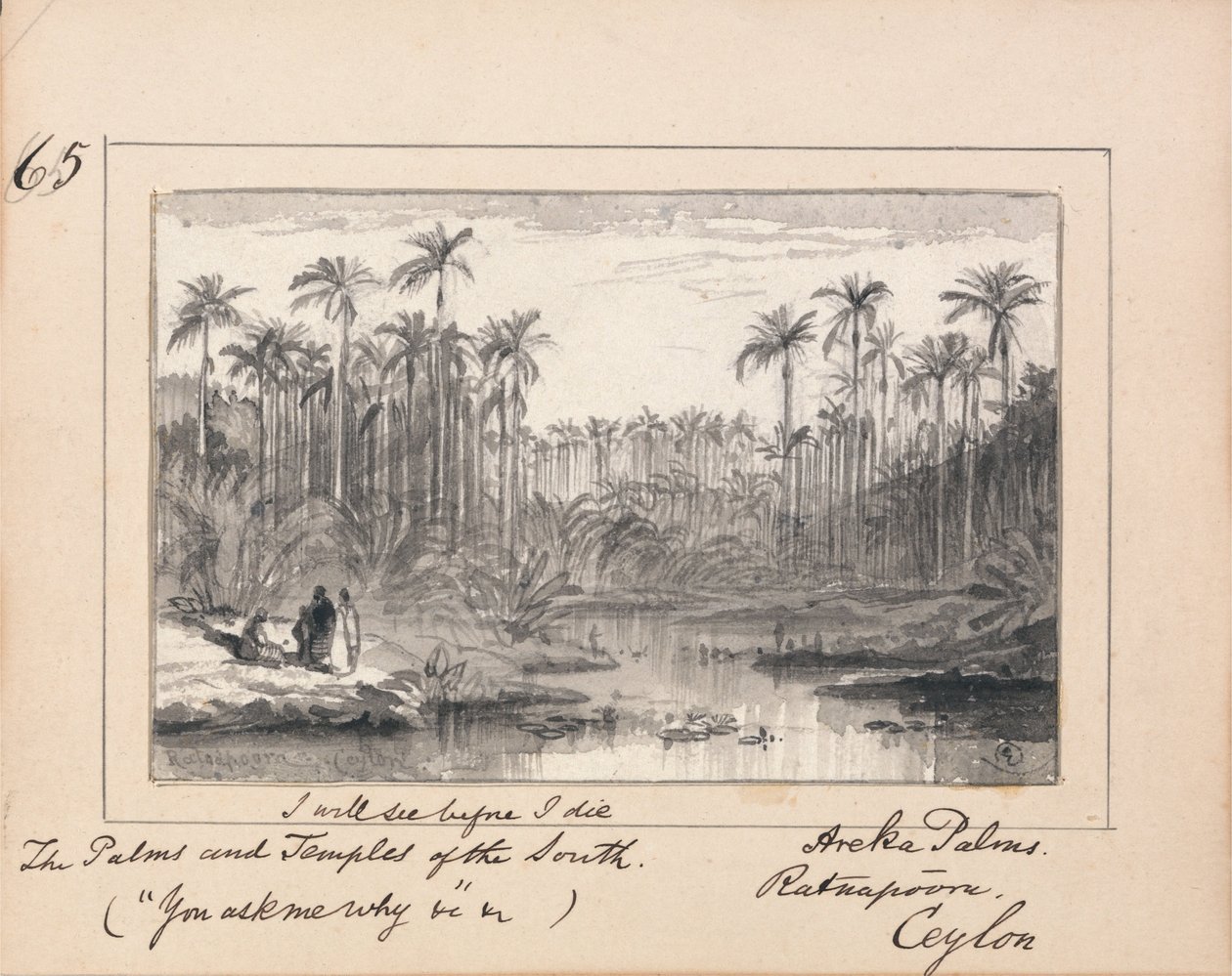 Ilustración de "Me preguntas por qué" de Tennyson: Areka Palms, Ratanapooru, Ceilán - `Veré antes de morir Las Palmeras y Templos del Sur