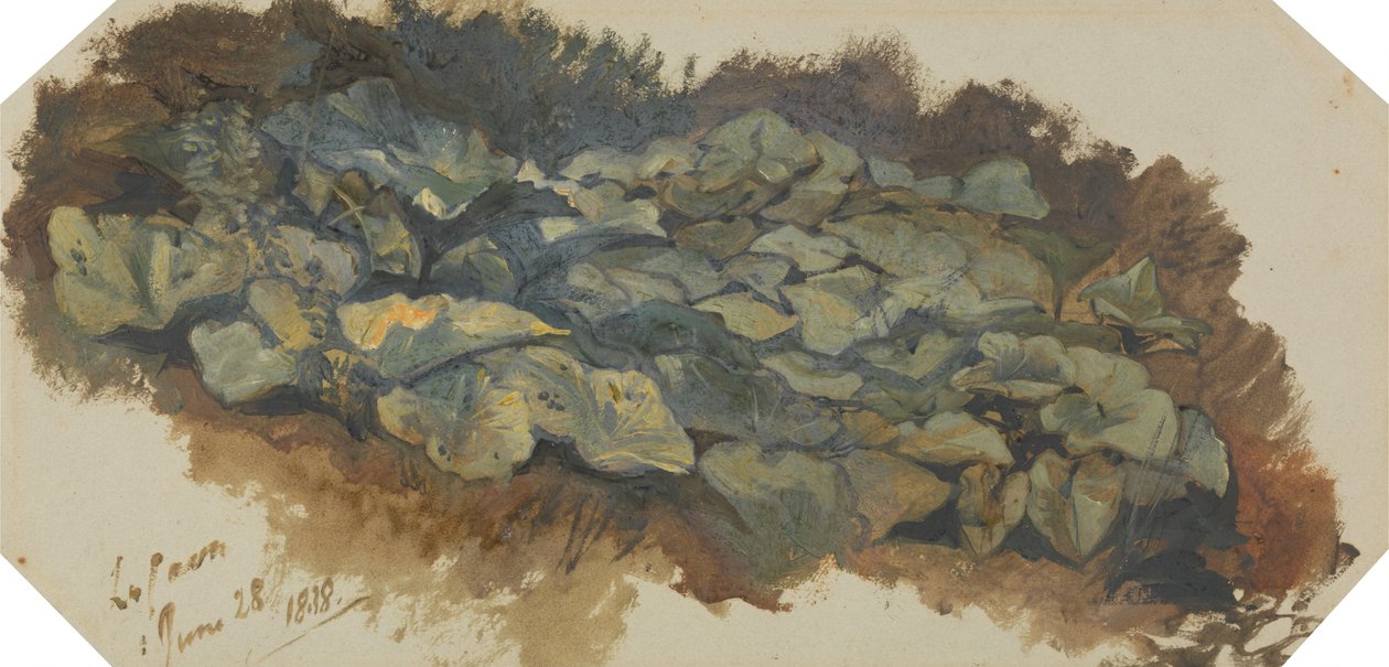 La Cava de Edward Lear