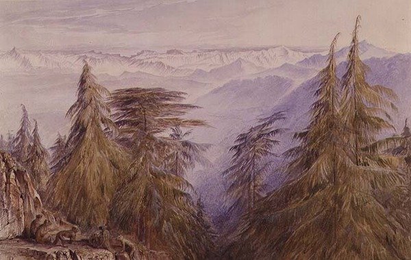 Monos en un Peñasco cerca de Simla, Norte de India de Edward Lear
