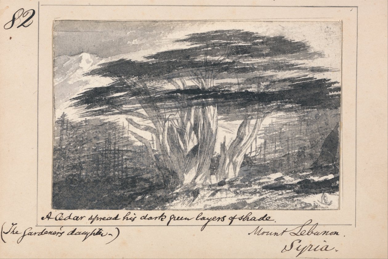 Monte Líbano, Siria - Un Cedro extendió sus capas de sombra verde oscuro de Edward Lear