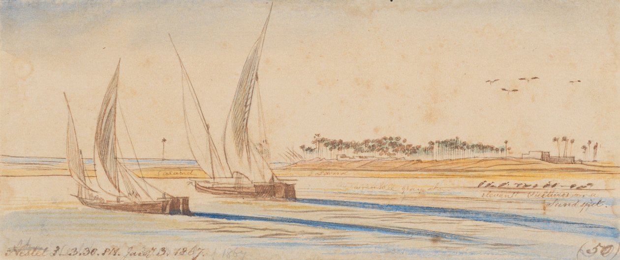 Siguiente: 15:30 h, 3 de enero de 1867 (50) de Edward Lear