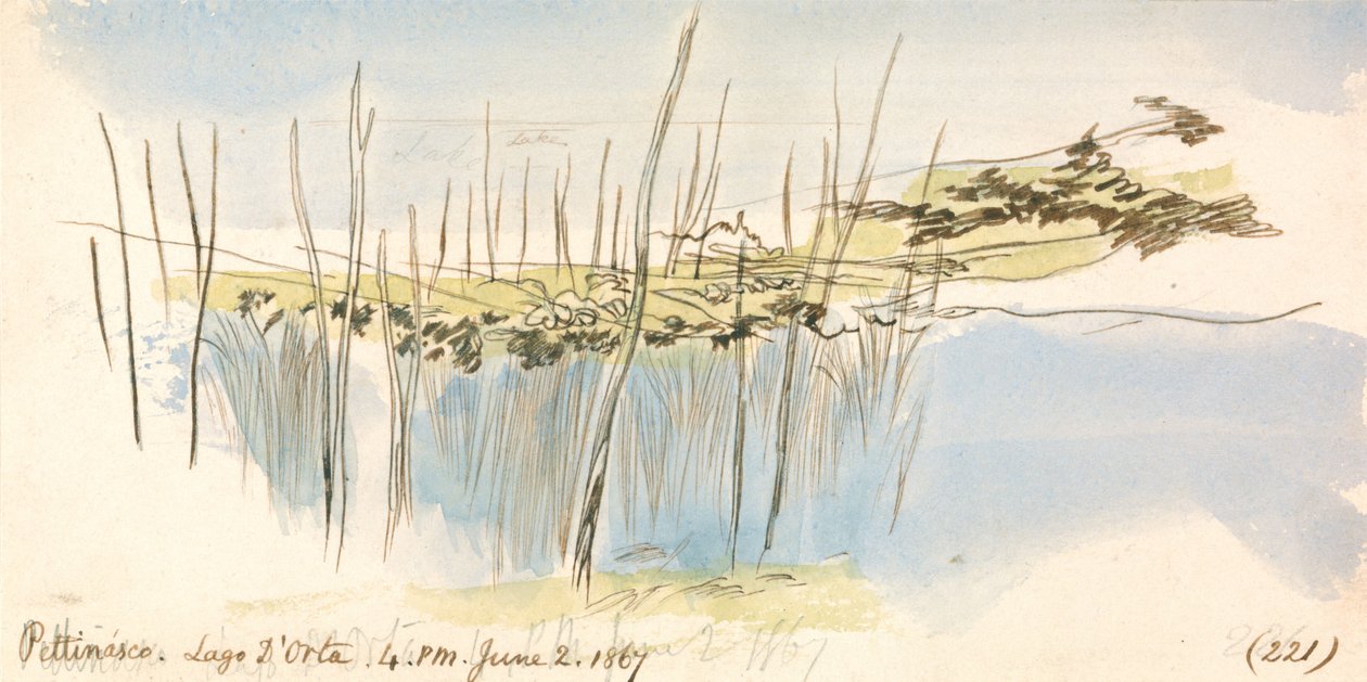 Pettenasco, lago de Orta, 16:00 h, 2 de junio de 1867 (221) de Edward Lear