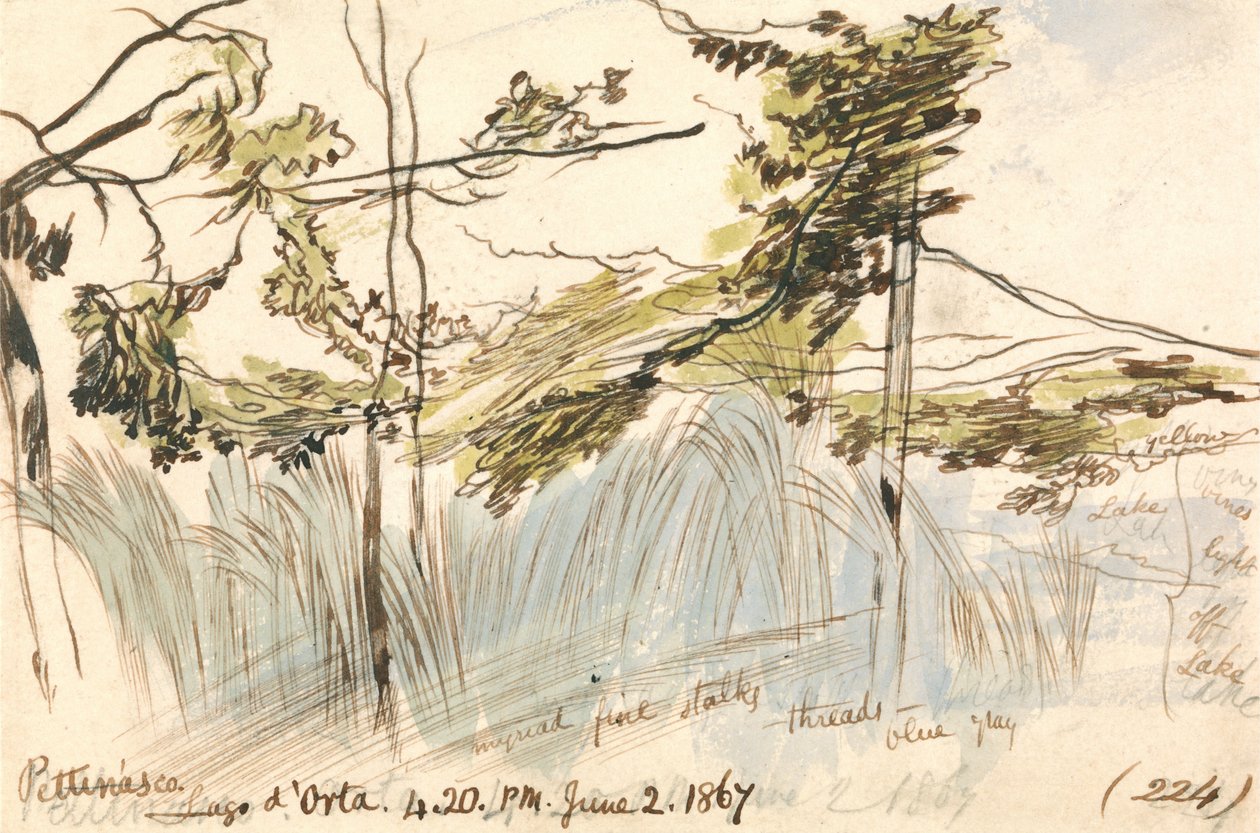 Pettenasco, lago de Orta, 16:20 h, 2 de junio de 1867 (224) de Edward Lear