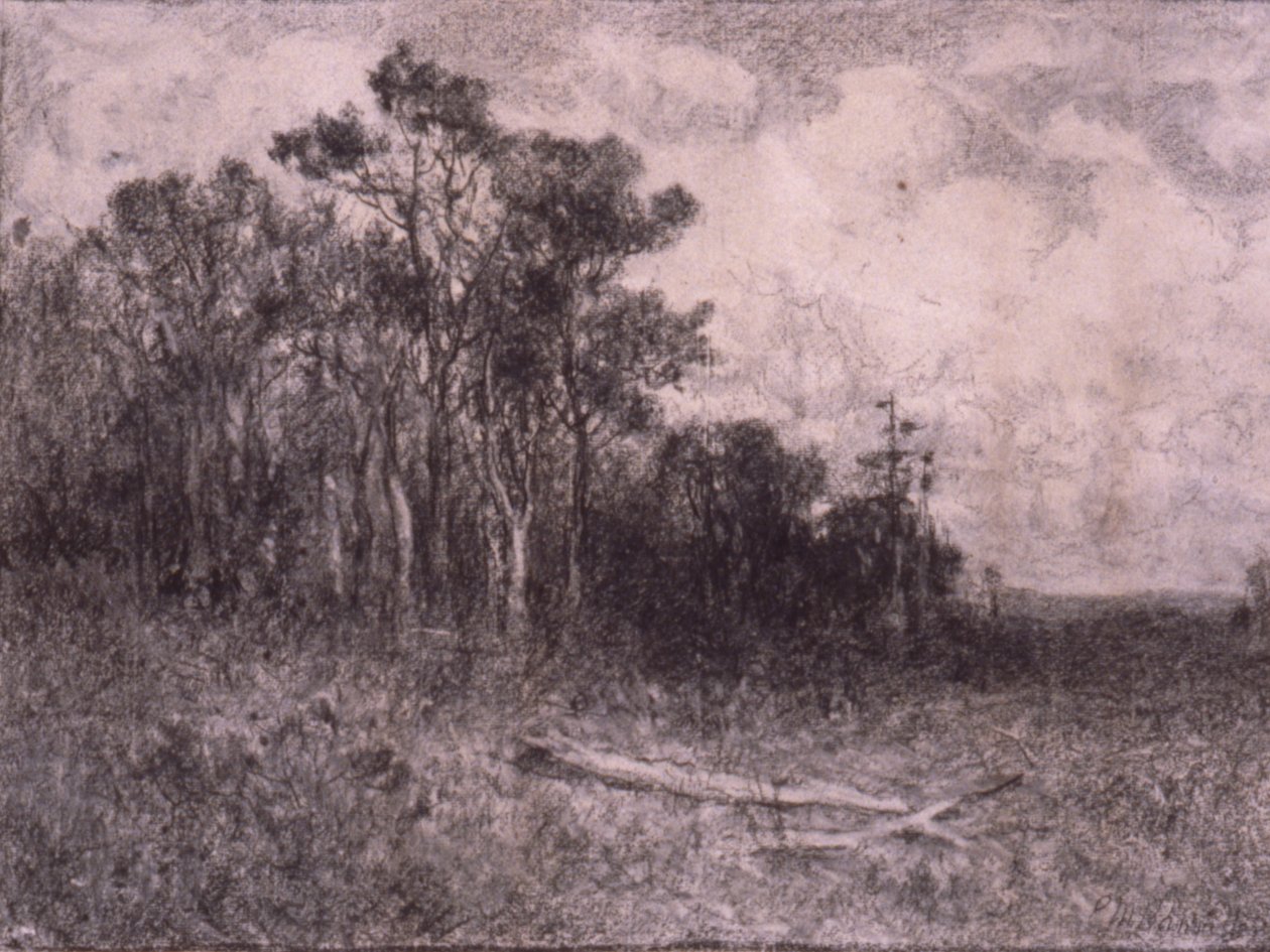 Paisaje, Escena de bosque de Edward Mitchell Bannister