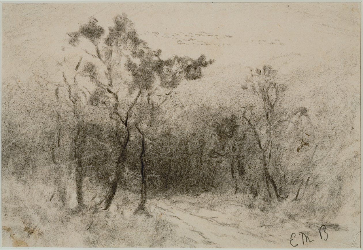 Paisaje con camino (#51), c. 1880 (carboncillo sobre papel) de Edward Mitchell Bannister