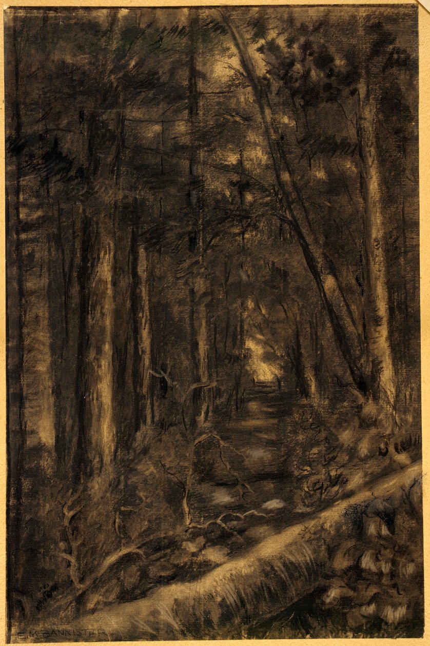 Paisaje con camino a través del bosque de Edward Mitchell Bannister