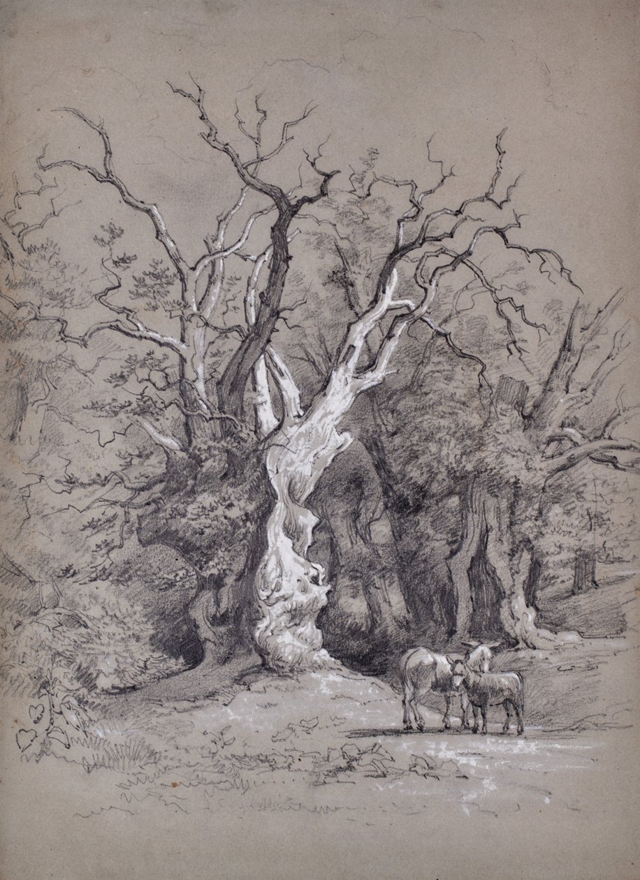 Paisaje con árbol de Edward Pretty