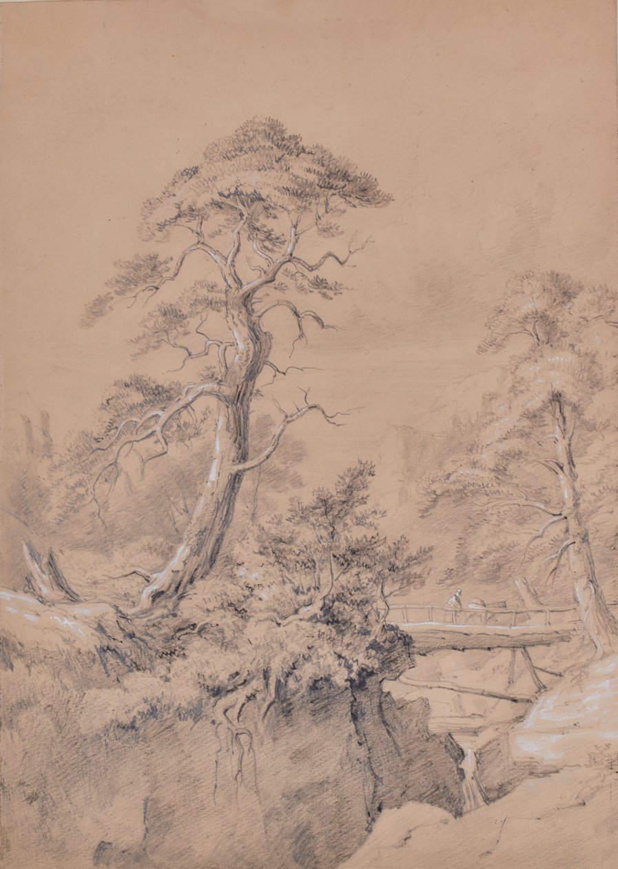 Paisaje con puente de madera de Edward Pretty