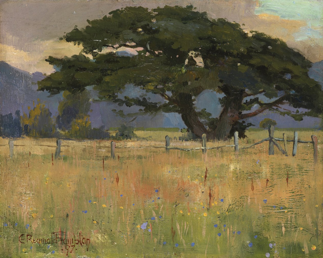 Un prado bajo las montañas, 1897 de Edward Reginald Frampton