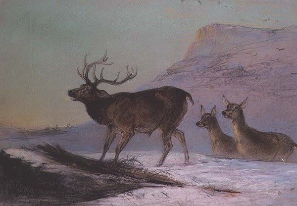 Invierno de Edward Robert Smythe