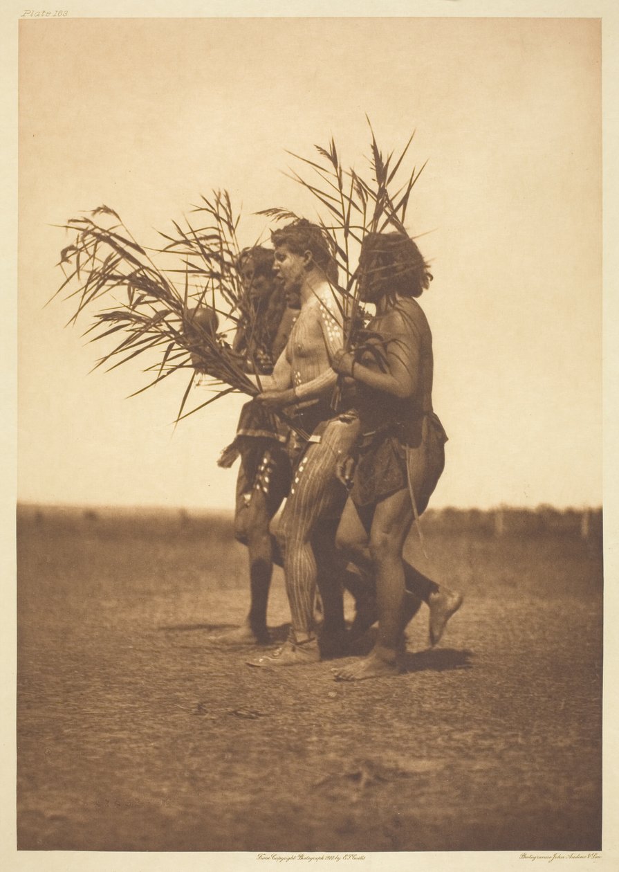 Ceremonia de medicina Arikara - los patos de Edward S. Curtis