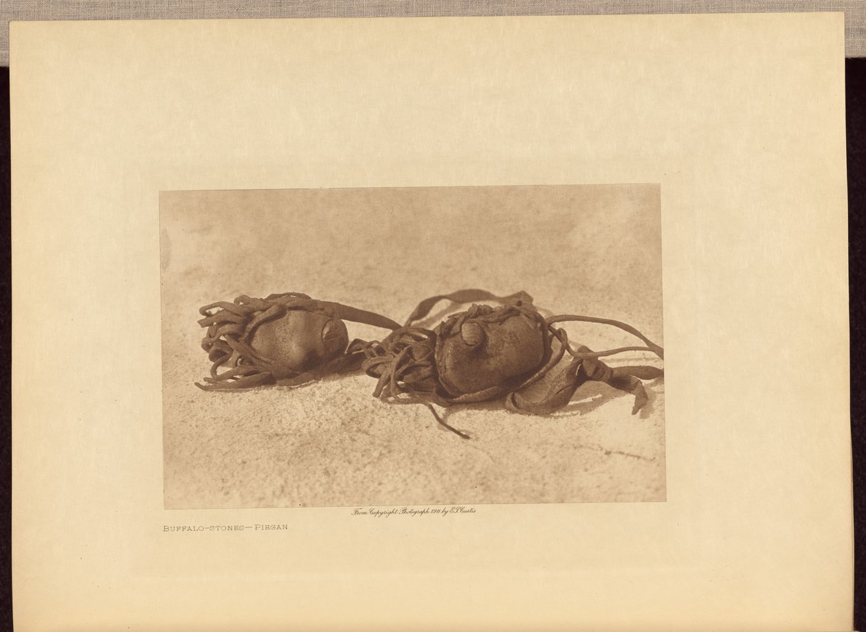Búfalos - Piegan de Edward S. Curtis