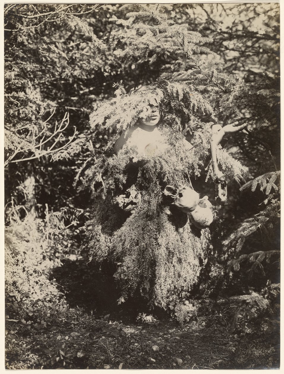 [Bailarín Fantasma - Kwakiutl] de Edward S. Curtis