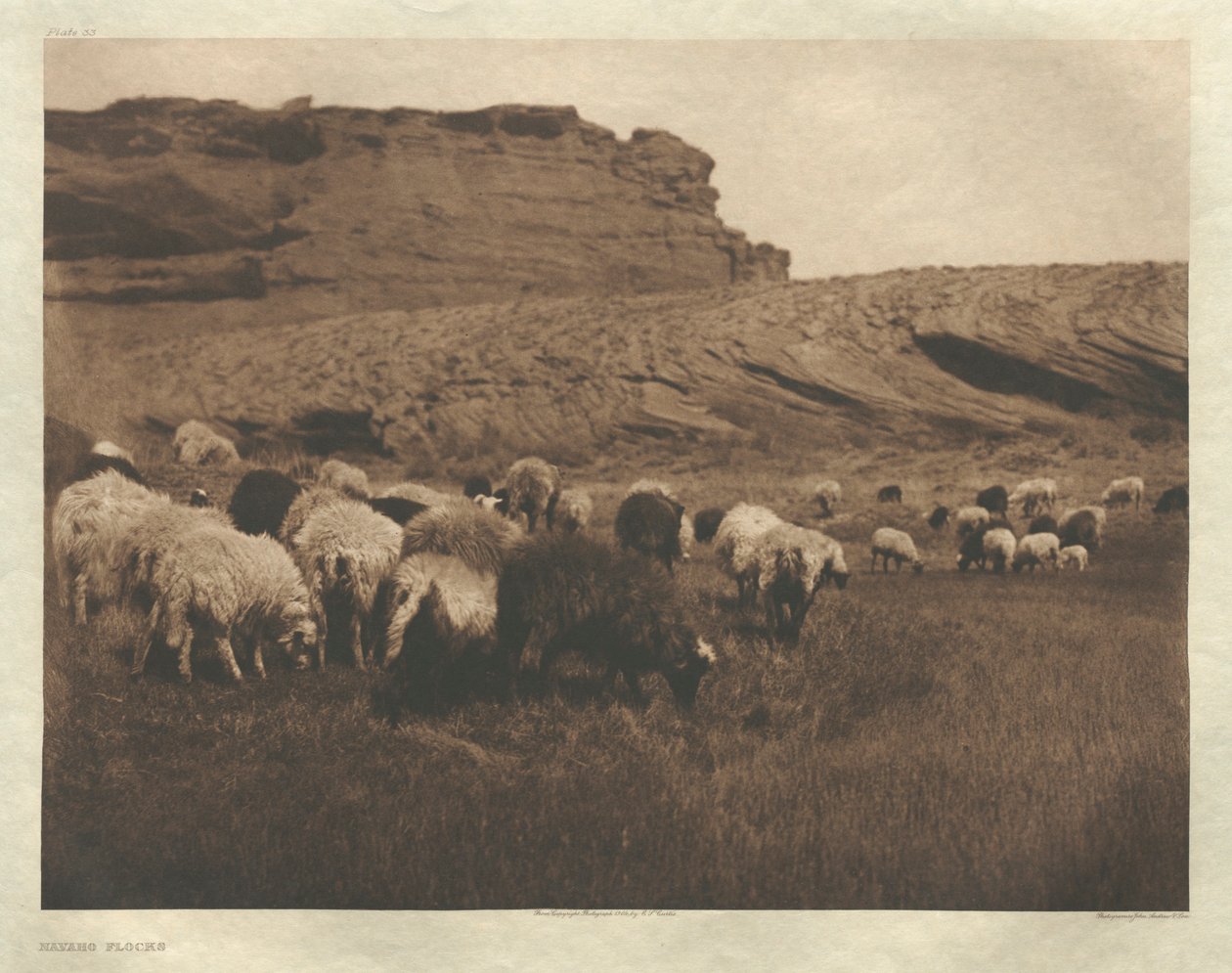 Cartera I, Lámina 33: Rebaños Navajo de Edward S. Curtis