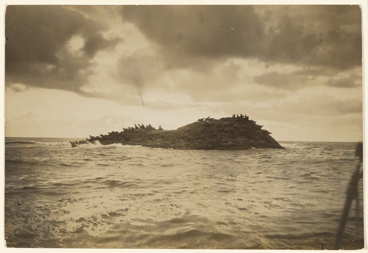 [A islotes rocosos y batidos por el oleaje me ha llevado mi canoa] de Edward S. Curtis