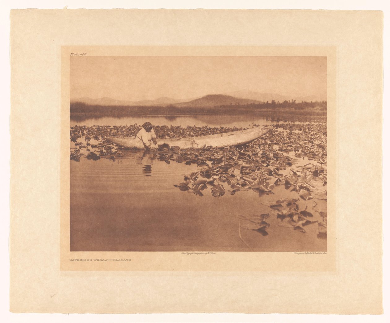 Recolección de wokas - Klamath de Edward Sheriff Curtis