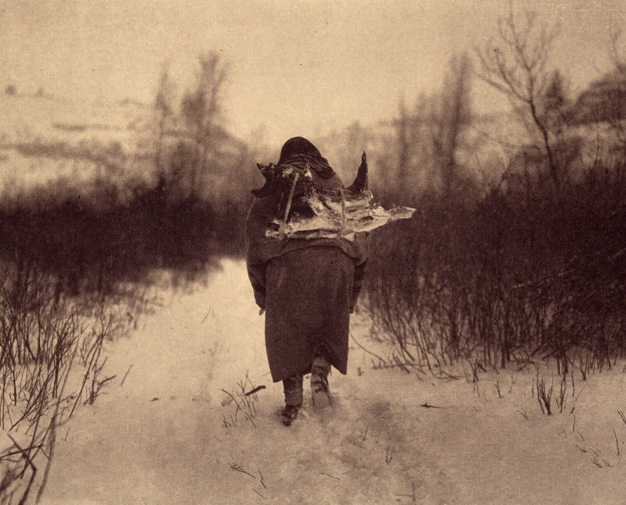De campamento. Un indio apsaroke cargando leña en la nieve, en un pequeño campamento de invierno cerca de un arroyo en las montañas Pryor, Montana. Fotografía tomada del volumen 4 de la enciclopedia publicada por Edward S. Curtis (1868-1952) sobre los indi de Edward Sheriff Curtis
