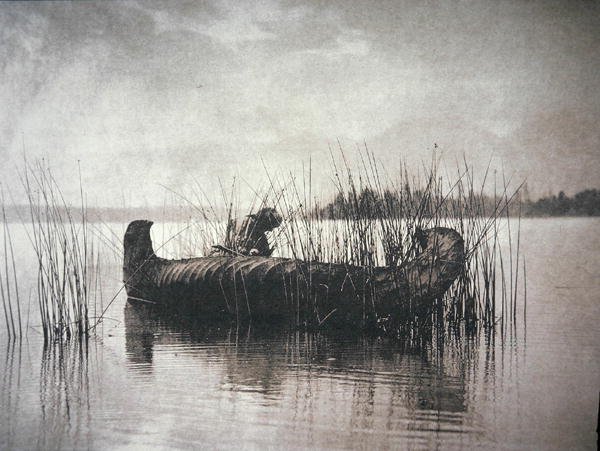 The Rush Gatherer, Montana (foto en blanco y negro) de Edward Sheriff Curtis