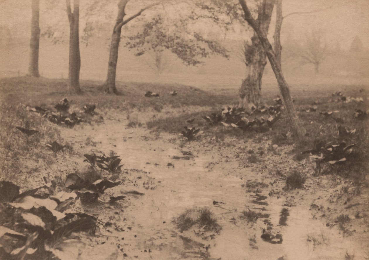 Paisaje primaveral, década de 1890 (foto) de Edward Willis Redfield
