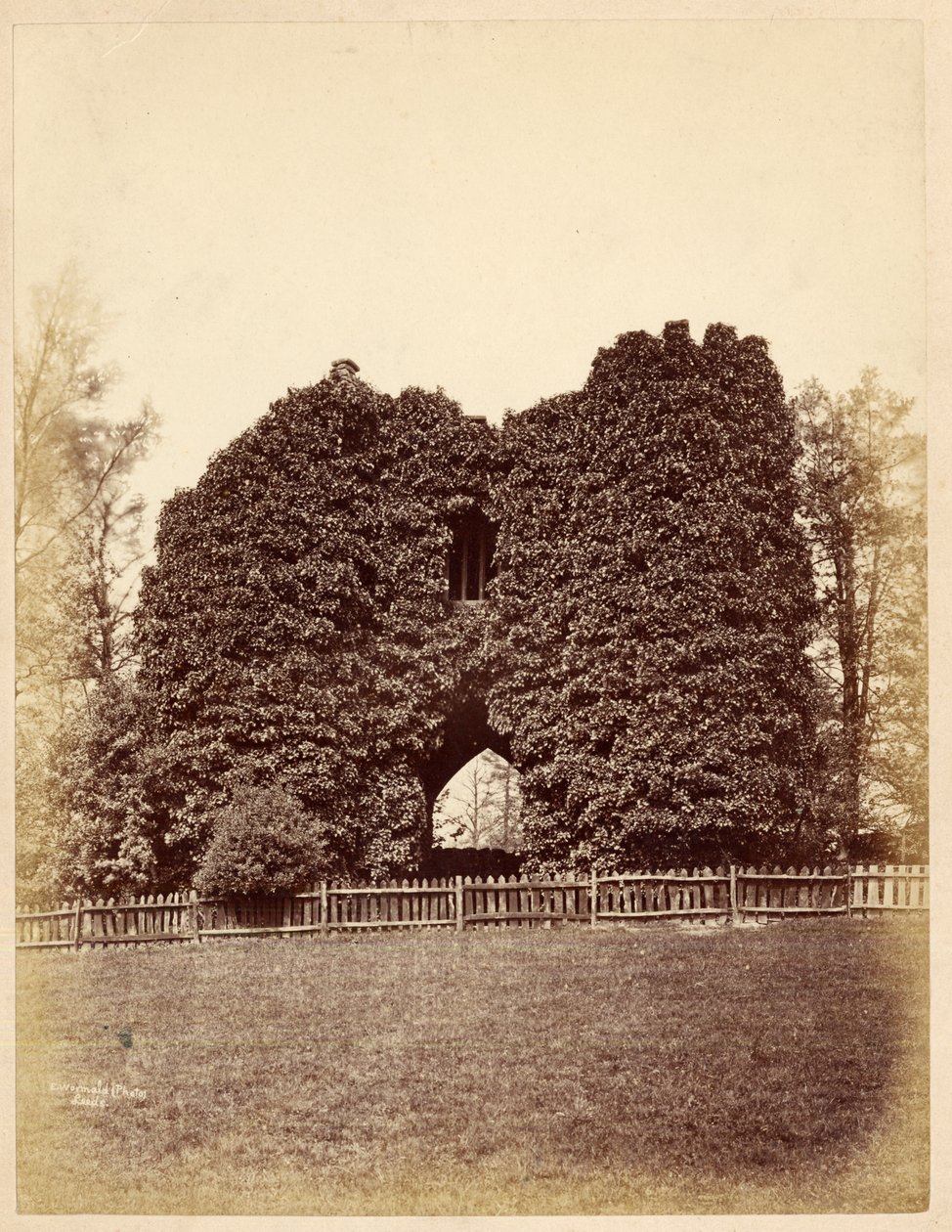 Vista de una locura en Roundhay Park de Edward Wormald