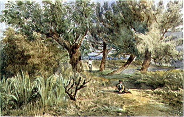 Campos de Battersea de Edward attr. to Bragg
