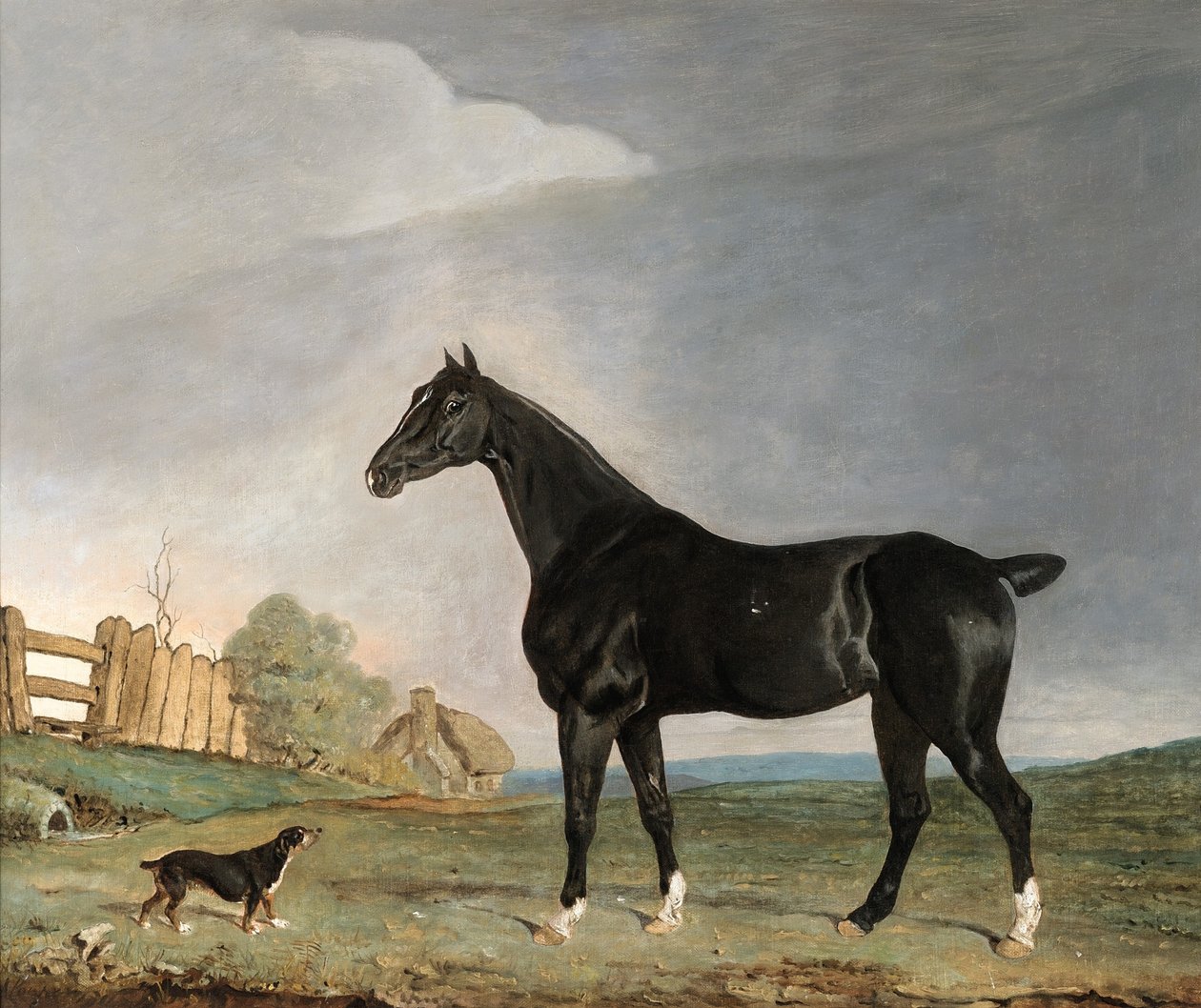 Un caballo bayo oscuro y un terrier en un paisaje de Edwin W. Cooper