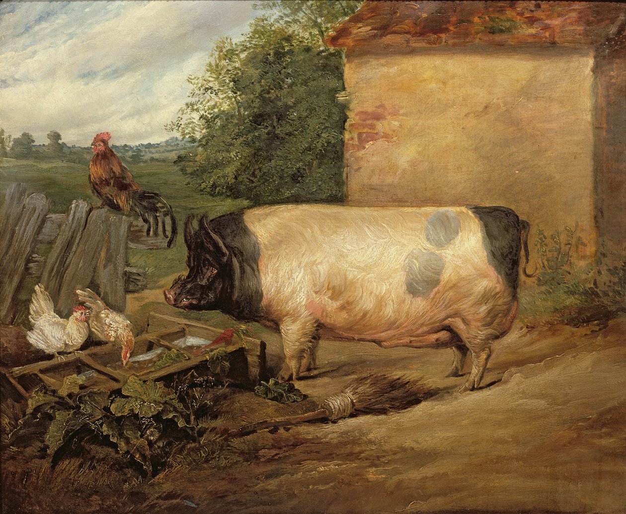 Retrato de un cerdo premiado, propiedad de Squire Weston de Essex, 1810 de Edwin Landseer