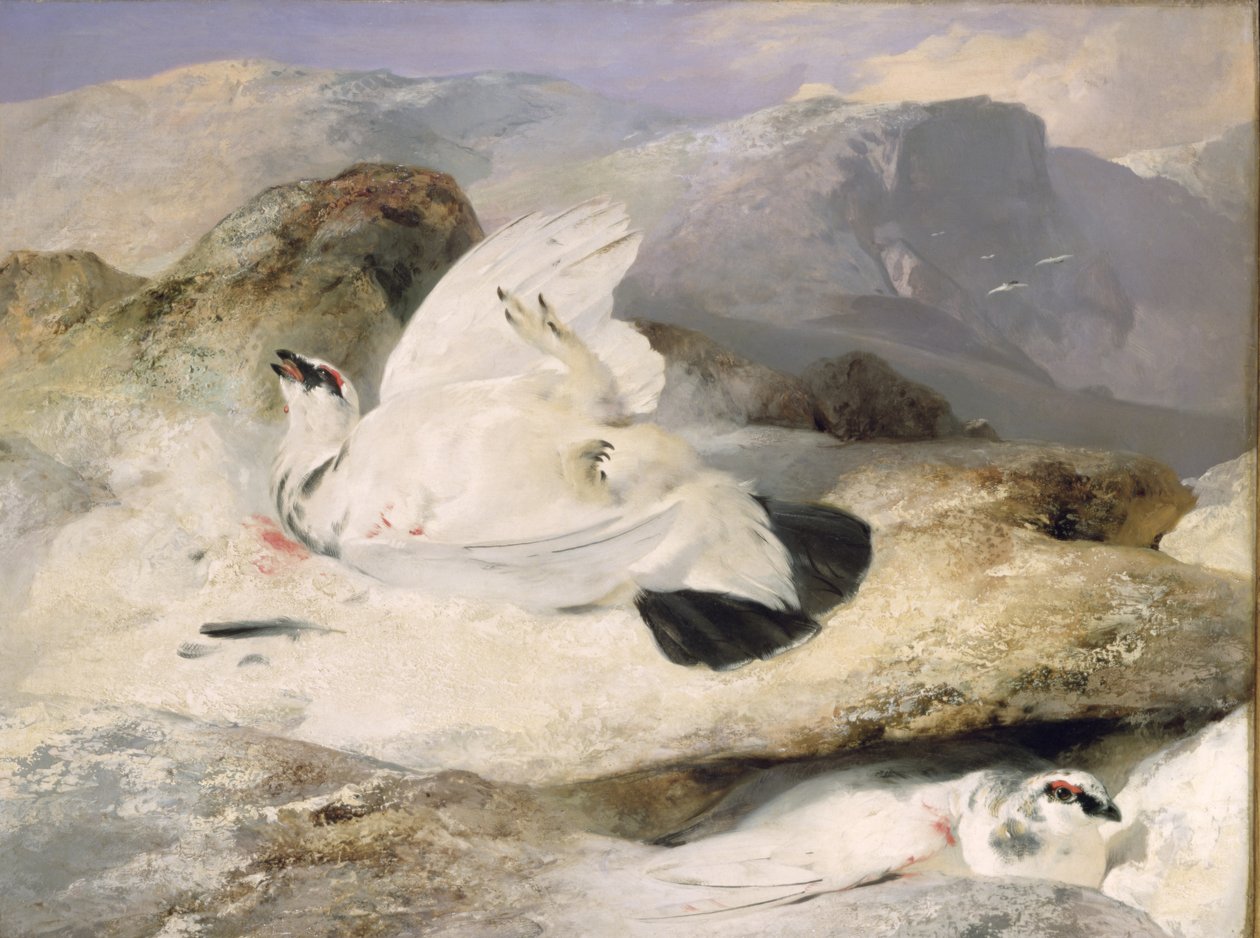 Perdiz nival de Edwin Landseer