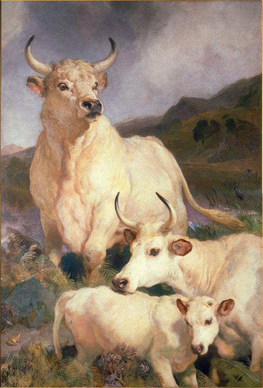 Ganado salvaje de Chillingham, Northumberland, c.1867 de Edwin Landseer