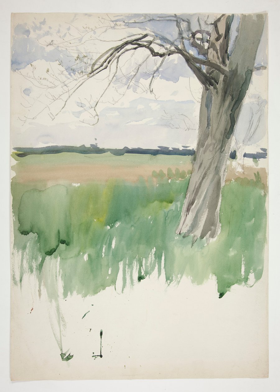 Estudio de un campo y un árbol. de Edwin Austin Abbey