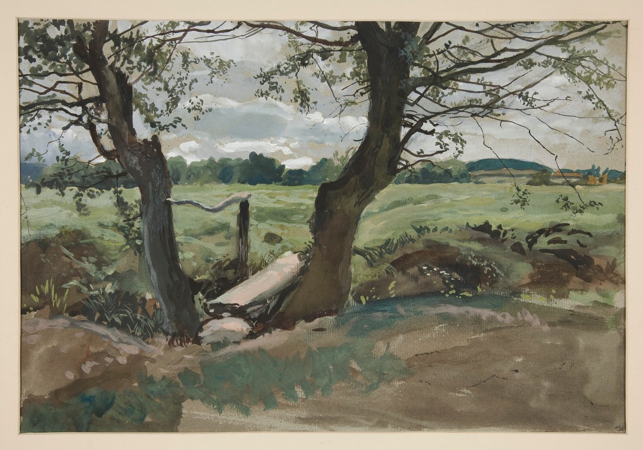 Estudio de dos árboles y un campo. de Edwin Austin Abbey