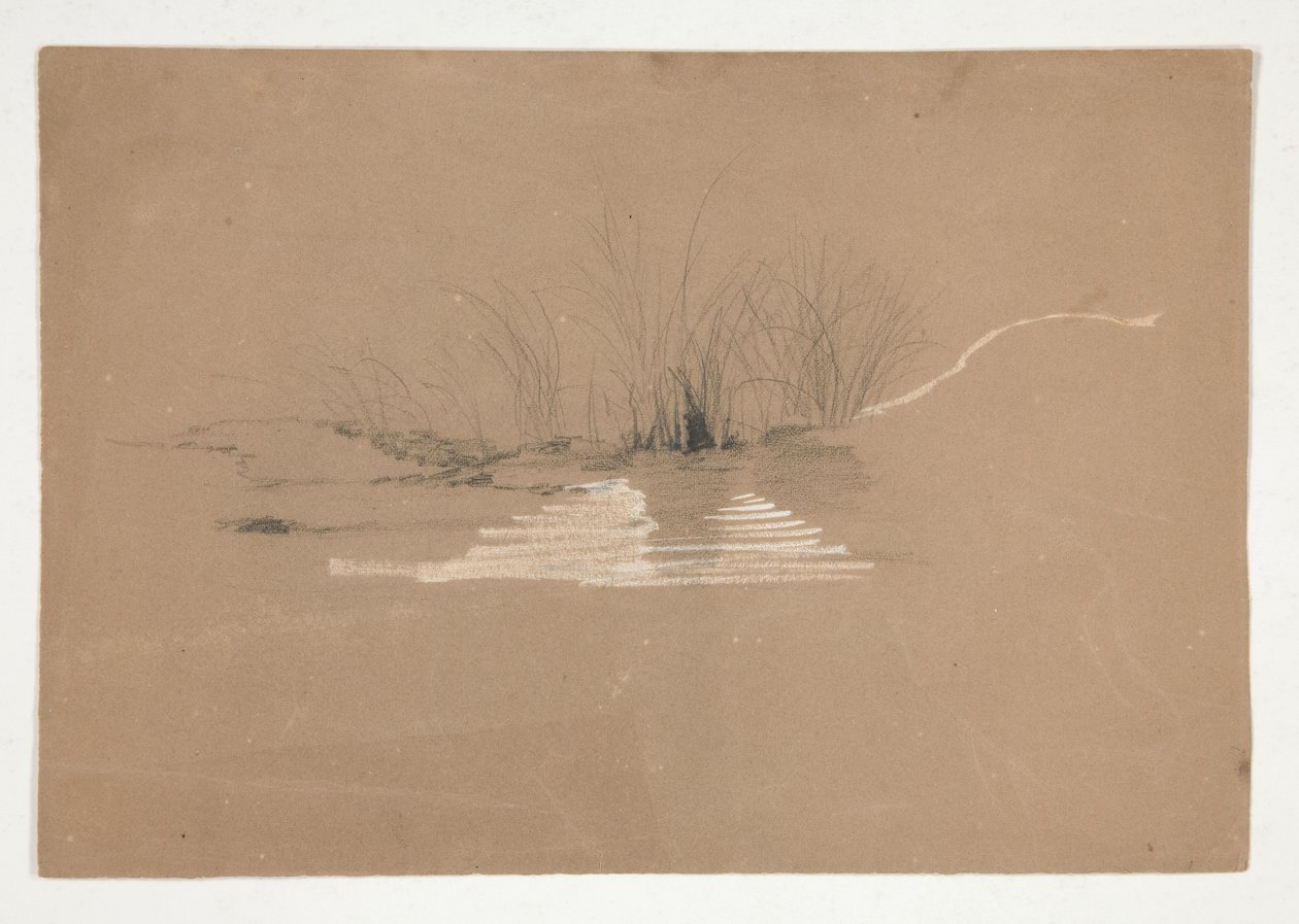 Árboles en la orilla del río (?) de Edwin Austin Abbey