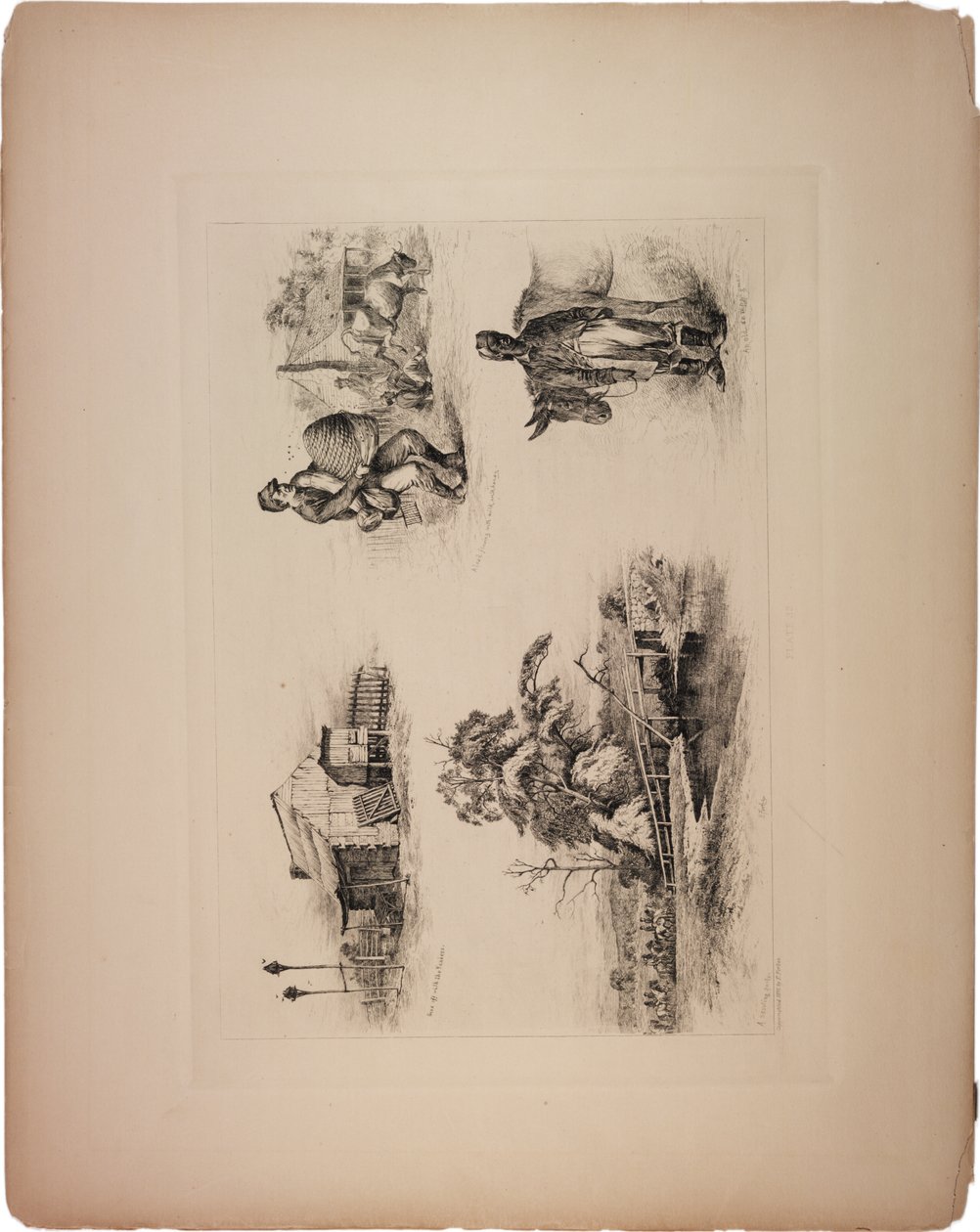 Se fue con los yanquis de Edwin Austin Forbes