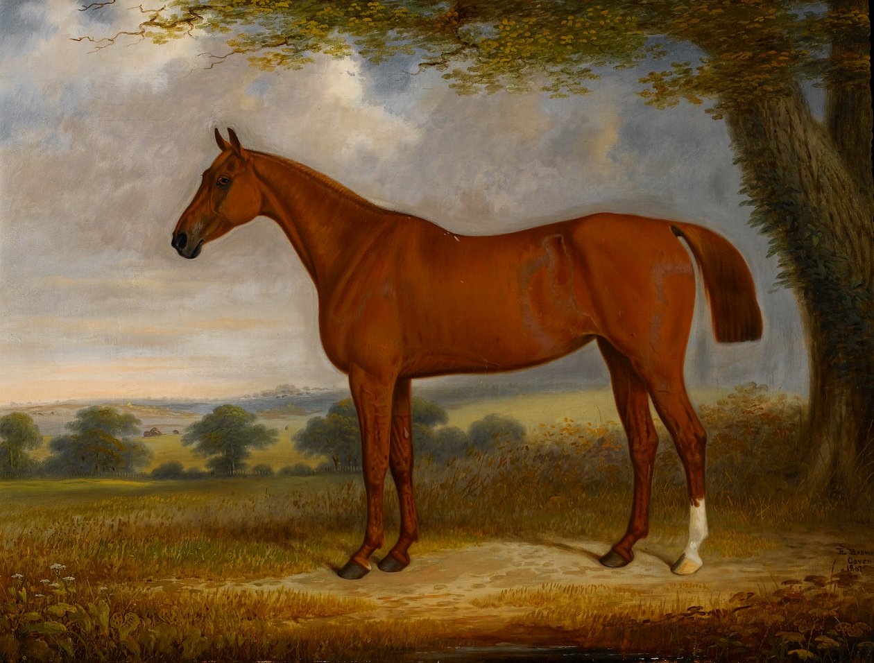 Cazador castaño en un paisaje, 1867 de Edwin Brown