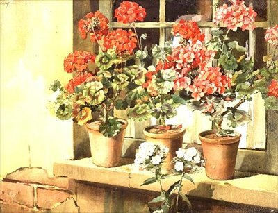 Geranios de Edwin Byatt