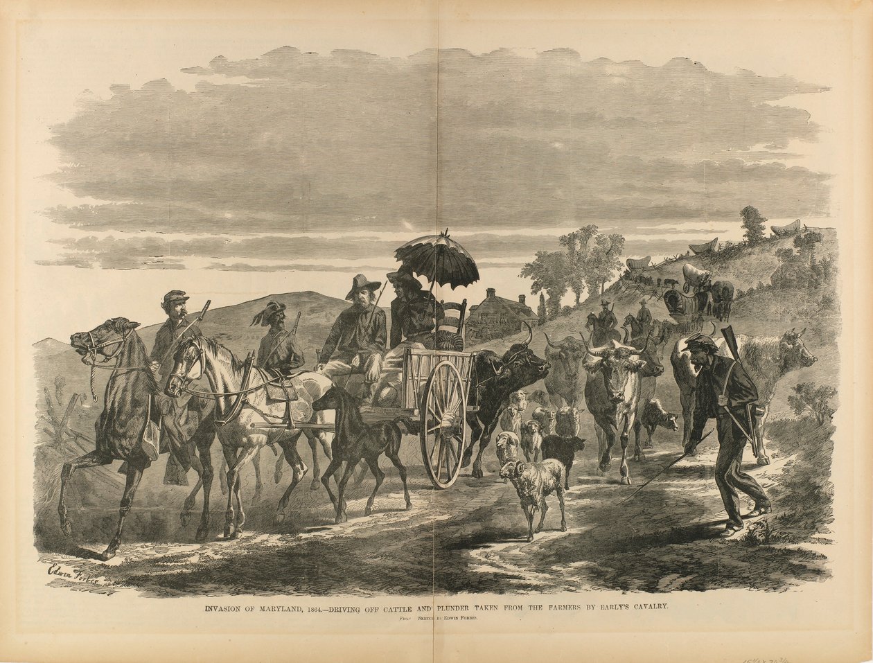 Invasión de Maryland, 1864--Despojo del ganado y del botín arrebatado a los granjeros por la caballería de Early, de "El soldado en nuestra guerra civil" de Edwin Forbes