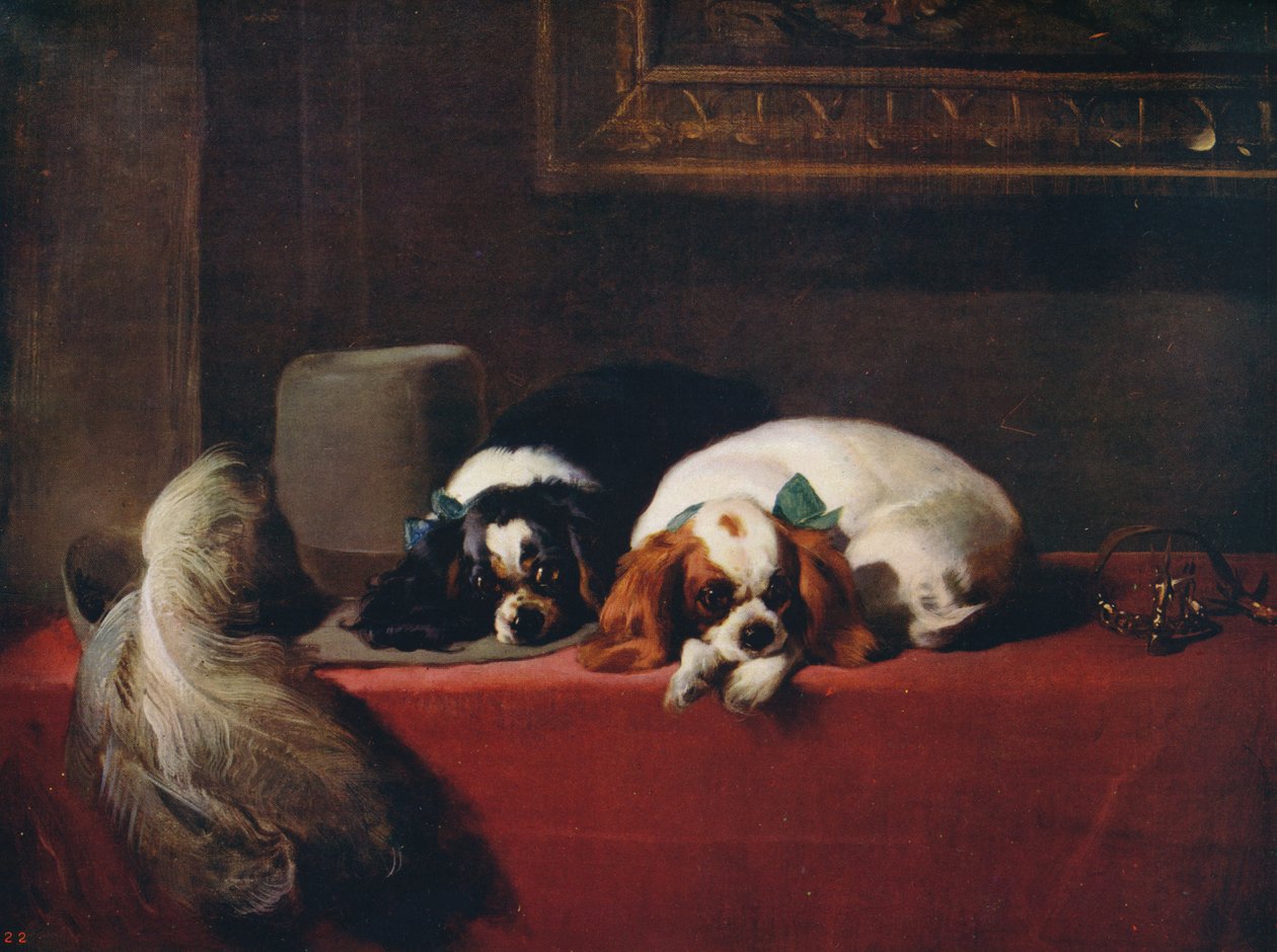 Spaniels del Rey Carlos, las mascotas de los Cavaliers, 1845 de Edwin Landseer