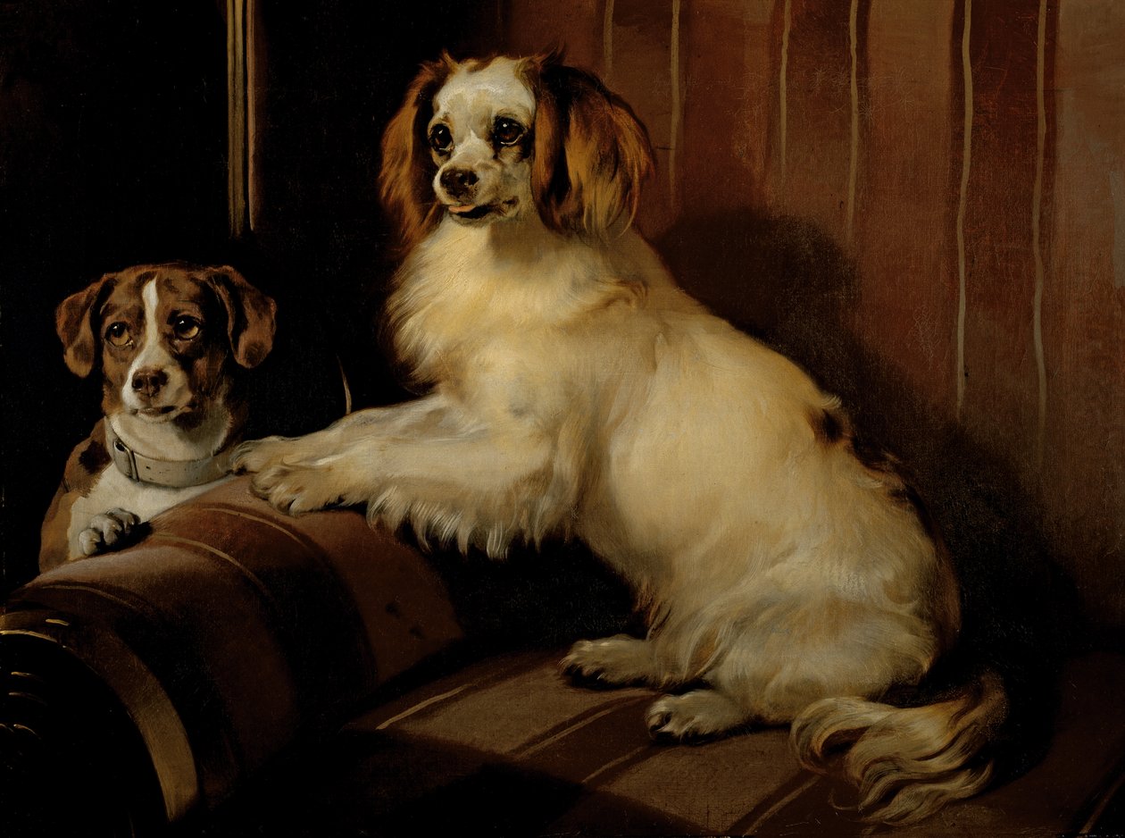 Bon(e)y y Var, c.1843 de Edwin Landseer