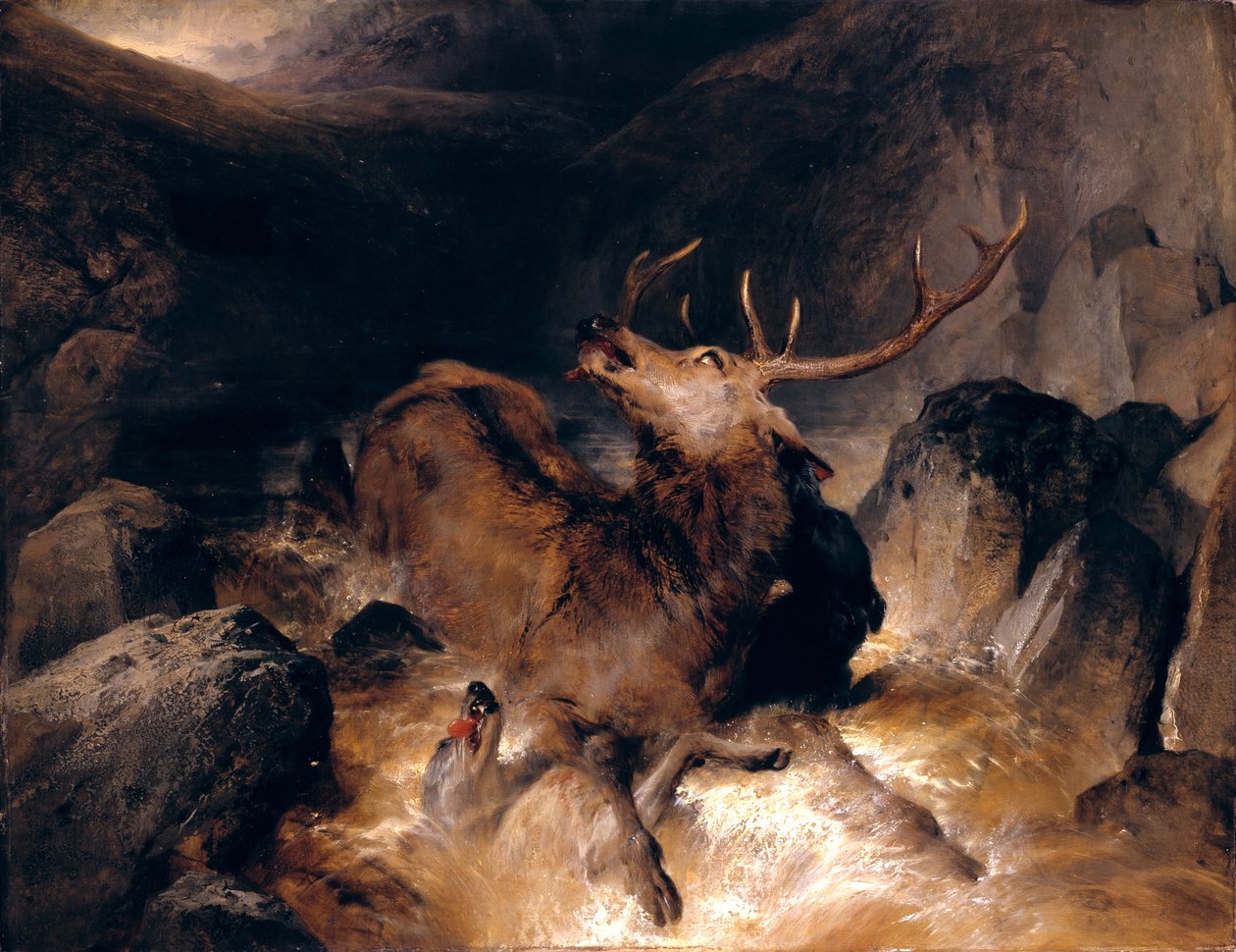 Ciervos y perros de caza en un torrente de montaña de Edwin Landseer