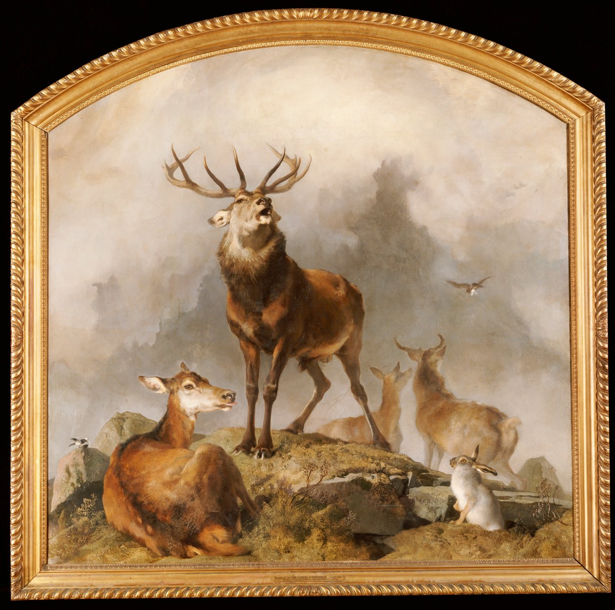 Escena en Braemar - Ciervos de las tierras altas de Edwin Landseer