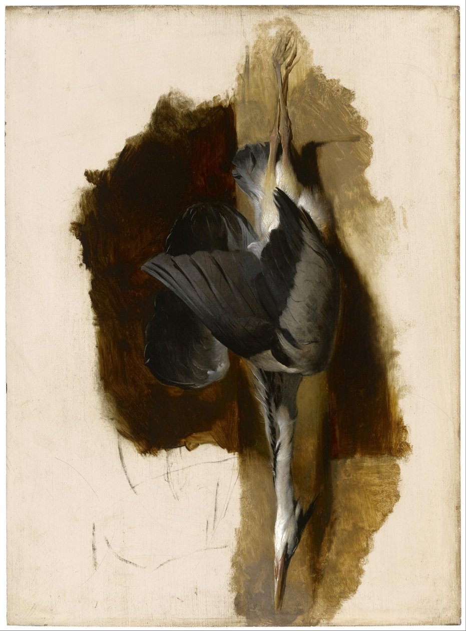 Estudio de una garza muerta de Edwin Landseer
